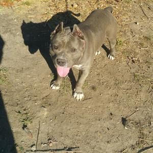 Meet your Posher, Alton